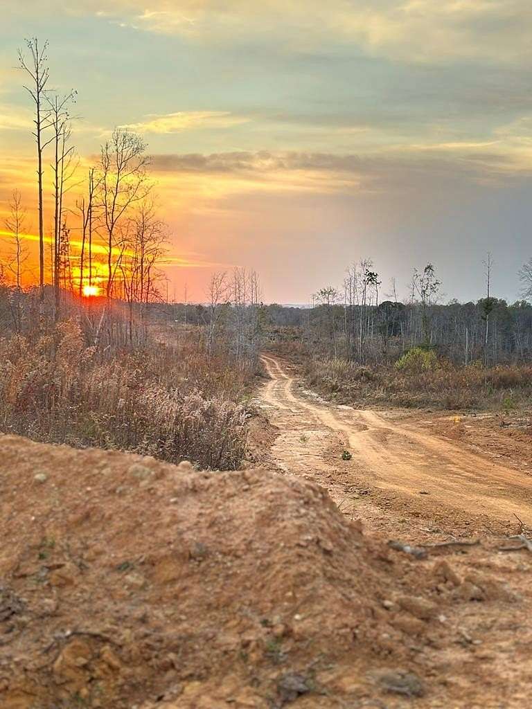 440 Acres of Recreational & Residential Land for Sale in Fort Gaines, Georgia