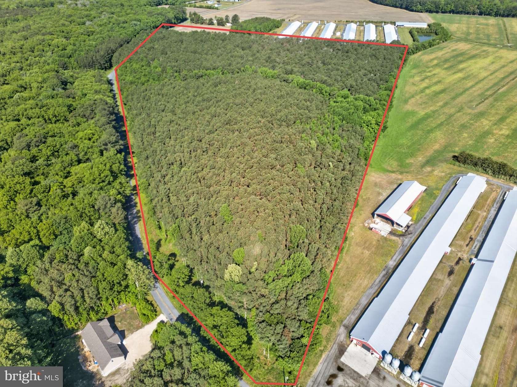 36.2 Acres of Recreational Land for Sale in Pocomoke City, Maryland
