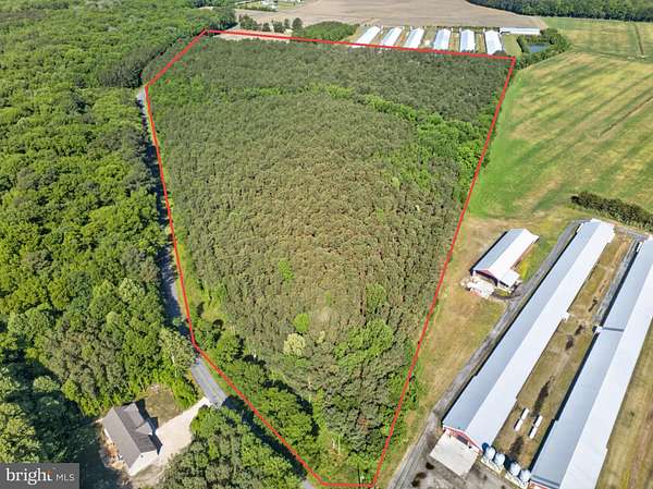 36.2 Acres of Recreational Land for Sale in Pocomoke City, Maryland