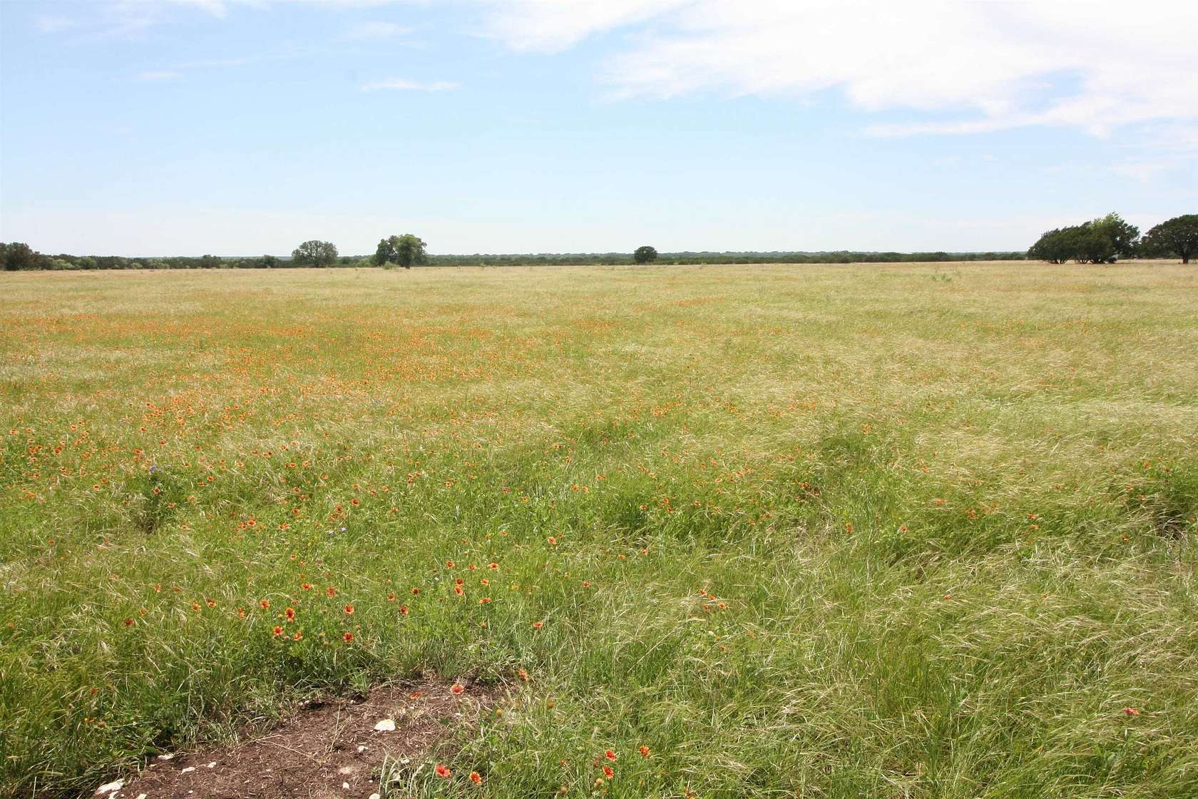 10.3 Acres of Agricultural Land for Sale in Burnet, Texas