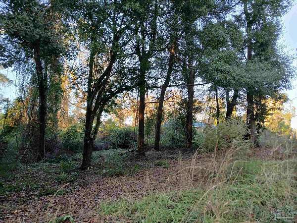 0.22 Acres of Residential Land for Sale in Century, Florida