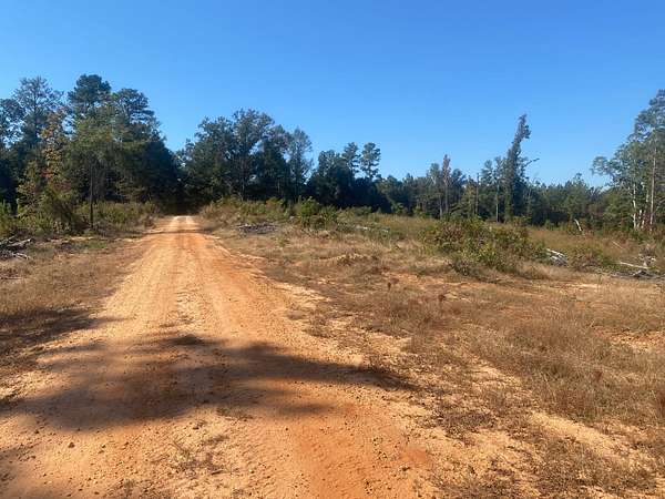40 Acres of Recreational Land for Sale in Marion, Alabama