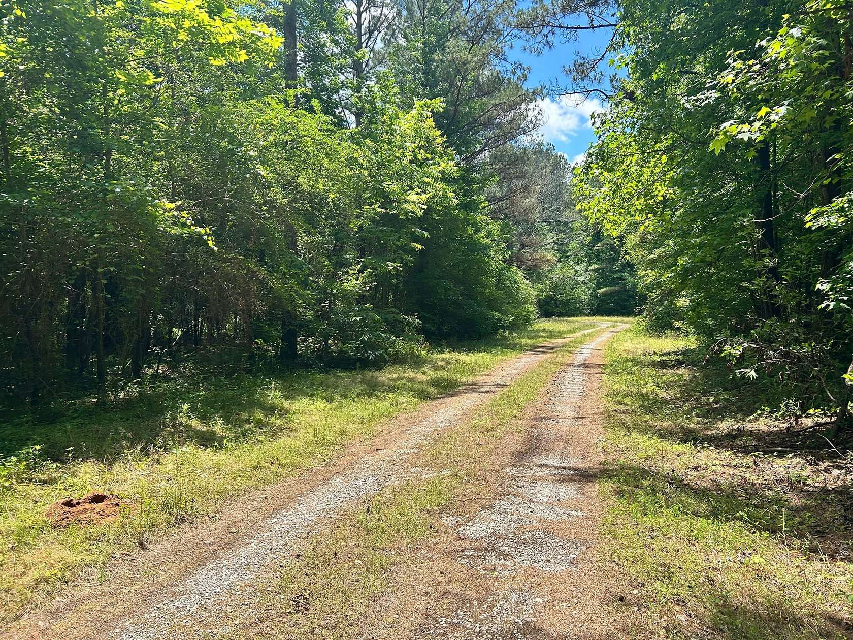 236 Acres of Recreational Land for Sale in Aliceville, Alabama