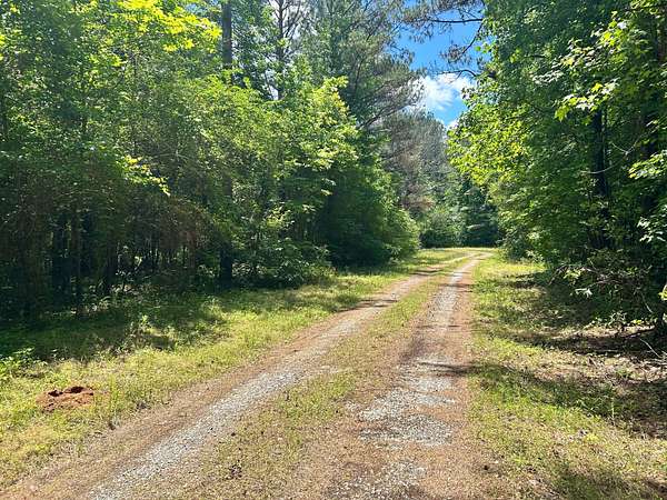 236 Acres of Recreational Land for Sale in Aliceville, Alabama