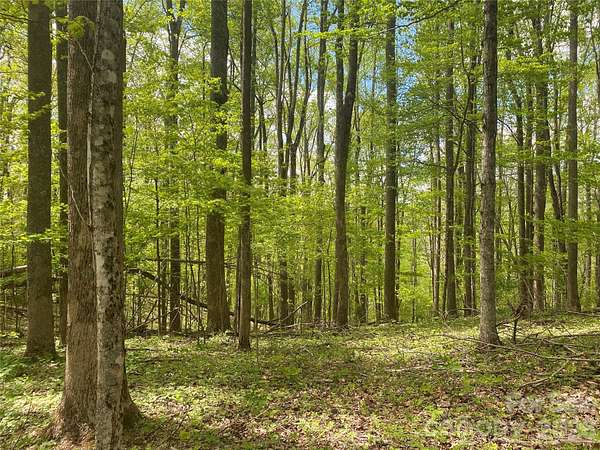 8.68 Acres of Residential Land for Sale in Mars Hill, North Carolina