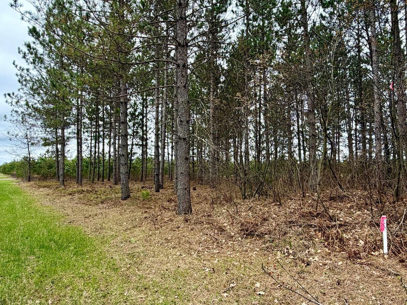 7.6 Acres of Recreational Land for Sale in Harshaw, Wisconsin