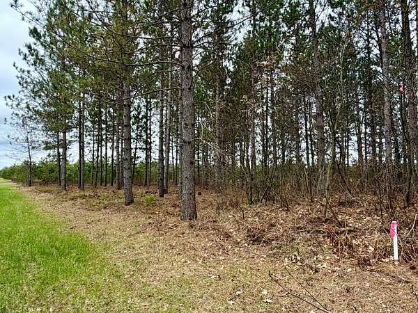 7.6 Acres of Recreational Land for Sale in Harshaw, Wisconsin