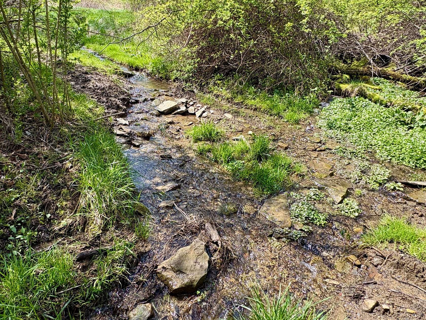 67.5 Acres of Recreational Land for Sale in Charleroi, Pennsylvania