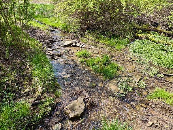 67.5 Acres of Recreational Land for Sale in Charleroi, Pennsylvania