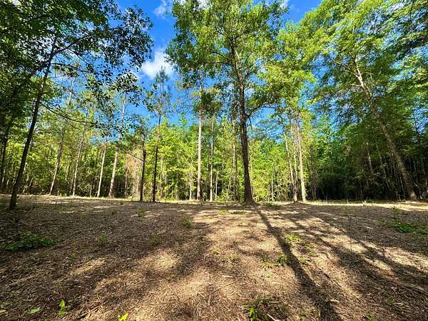 8.27 Acres of Land for Sale in Auburn, Alabama