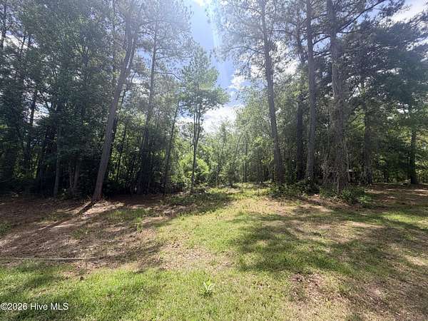 0.56 Acres of Residential Land for Sale in Atkinson, North Carolina