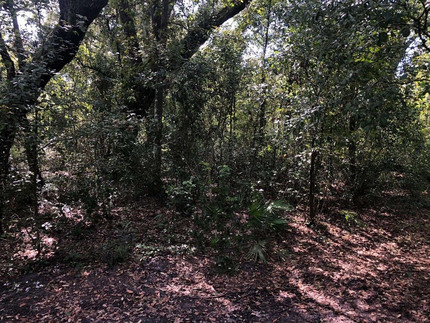 1.25 Acres of Land for Sale in Kathleen, Florida