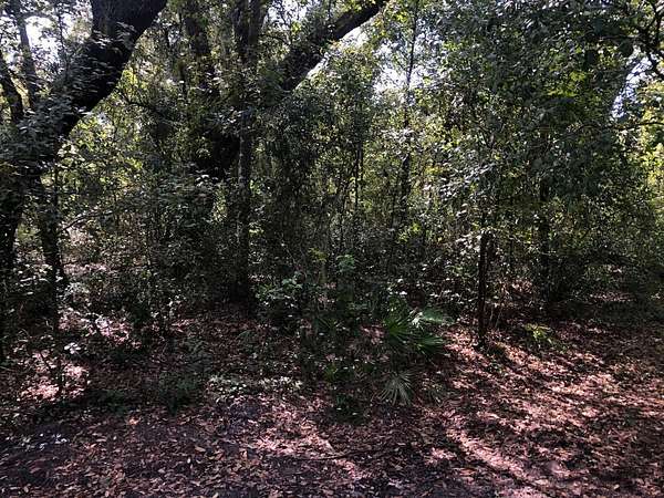 1.25 Acres of Land for Sale in Kathleen, Florida