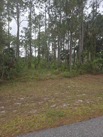 0.24 Acres of Residential Land for Sale in Palm Bay, Florida