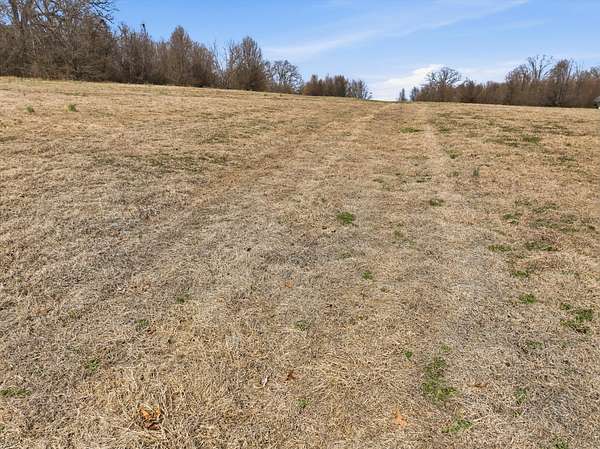 17.7 Acres of Land for Sale in West Plains, Missouri