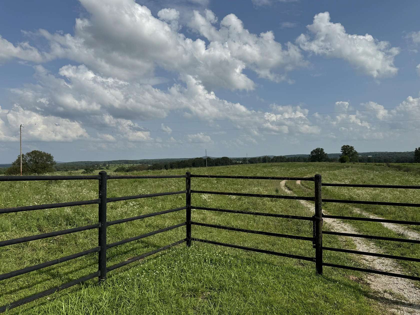 114 Acres of Land for Sale in Vanzant, Missouri