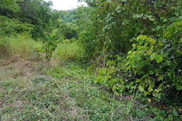 0.25 Acres of Residential Land for Sale in Branson, Missouri