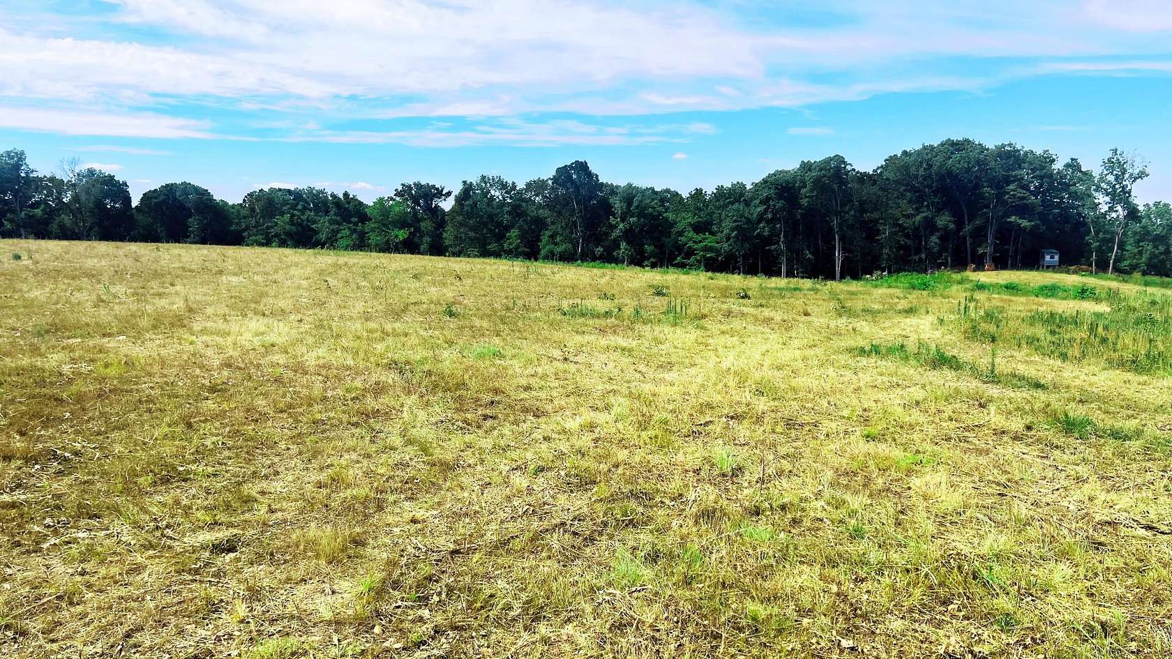 44.7 Acres of Land for Sale in Exeter, Missouri