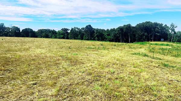 44.7 Acres of Land for Sale in Exeter, Missouri