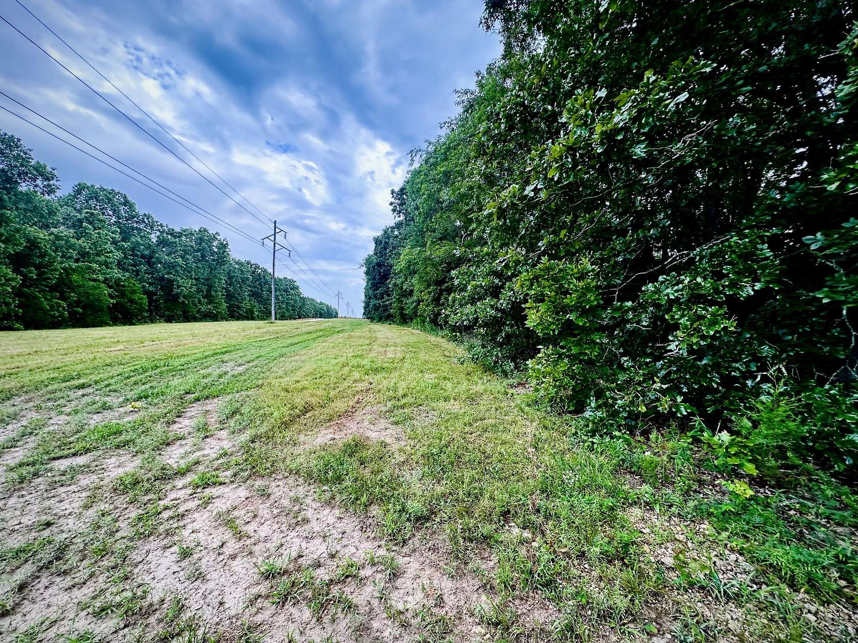5.6 Acres of Residential Land for Sale in Salem, Missouri