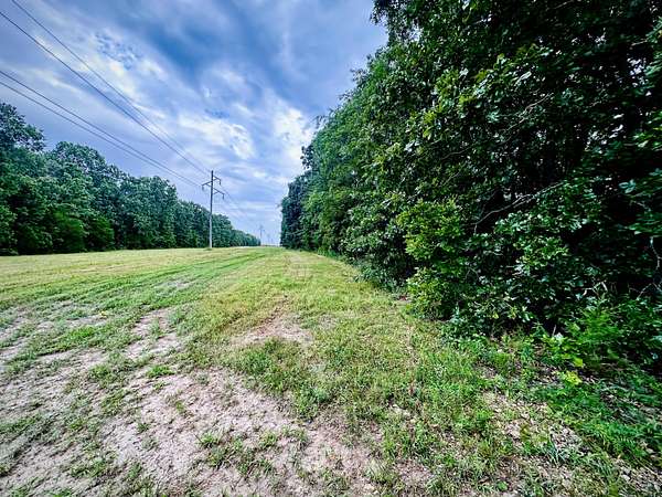 5.6 Acres of Residential Land for Sale in Salem, Missouri