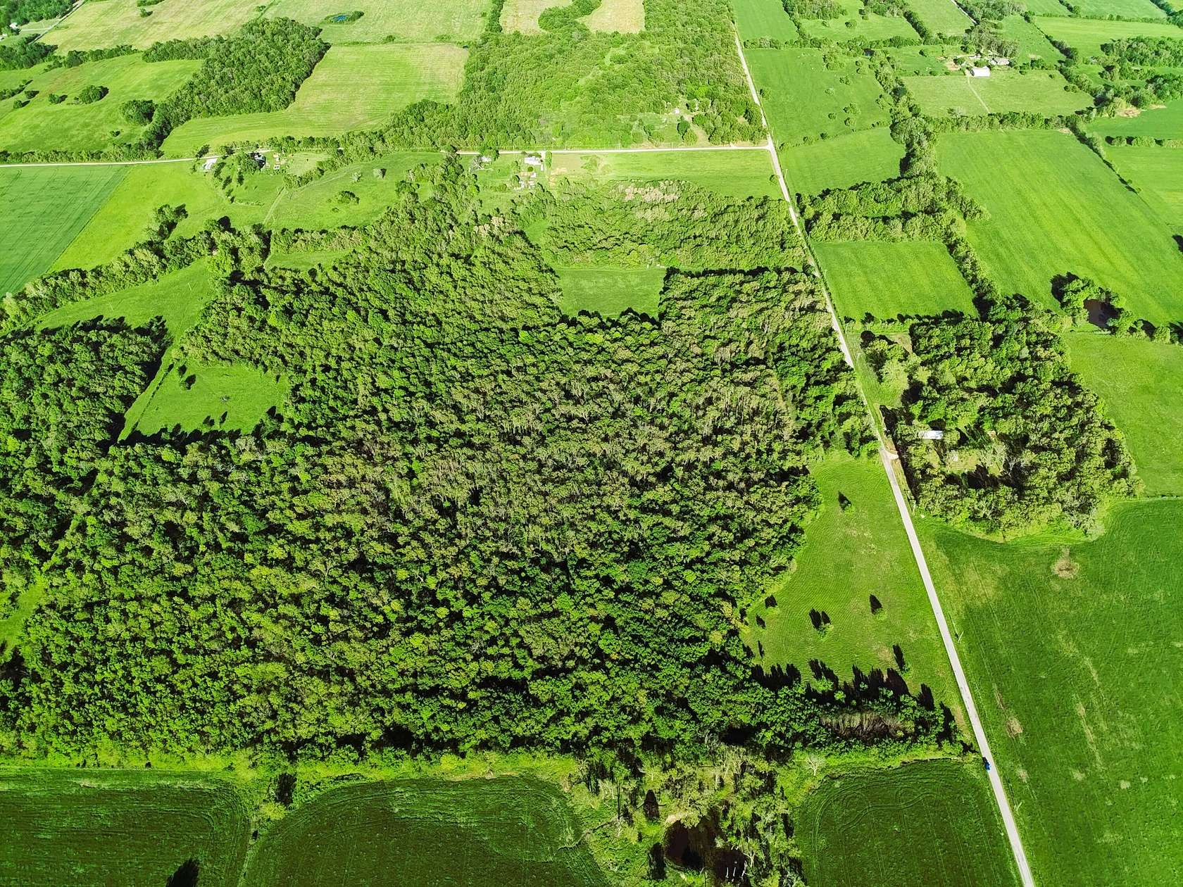 20 Acres of Recreational & Residential Land for Sale in Pierce City, Missouri
