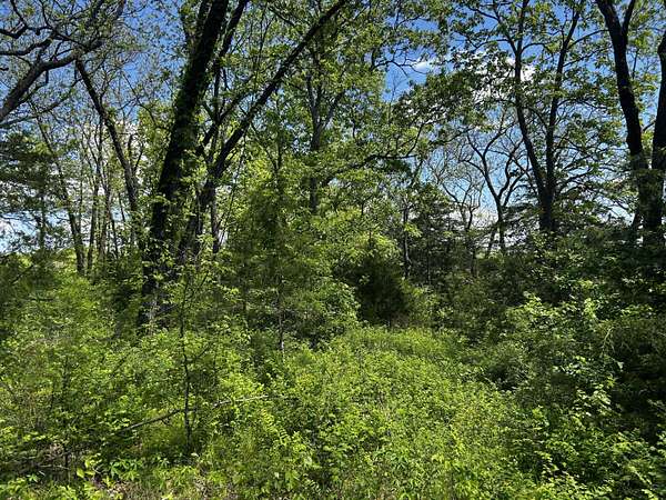 9.44 Acres of Land for Sale in Arcola, Missouri