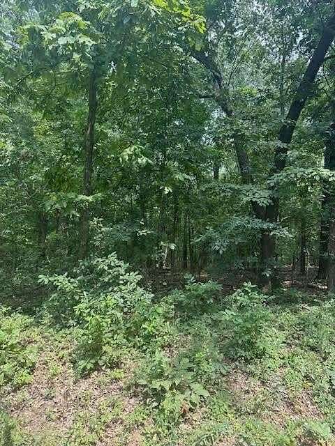 10 Acres of Residential Land for Sale in Alton, Missouri