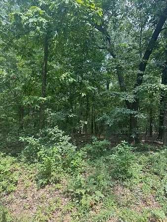 10 Acres of Residential Land for Sale in Alton, Missouri