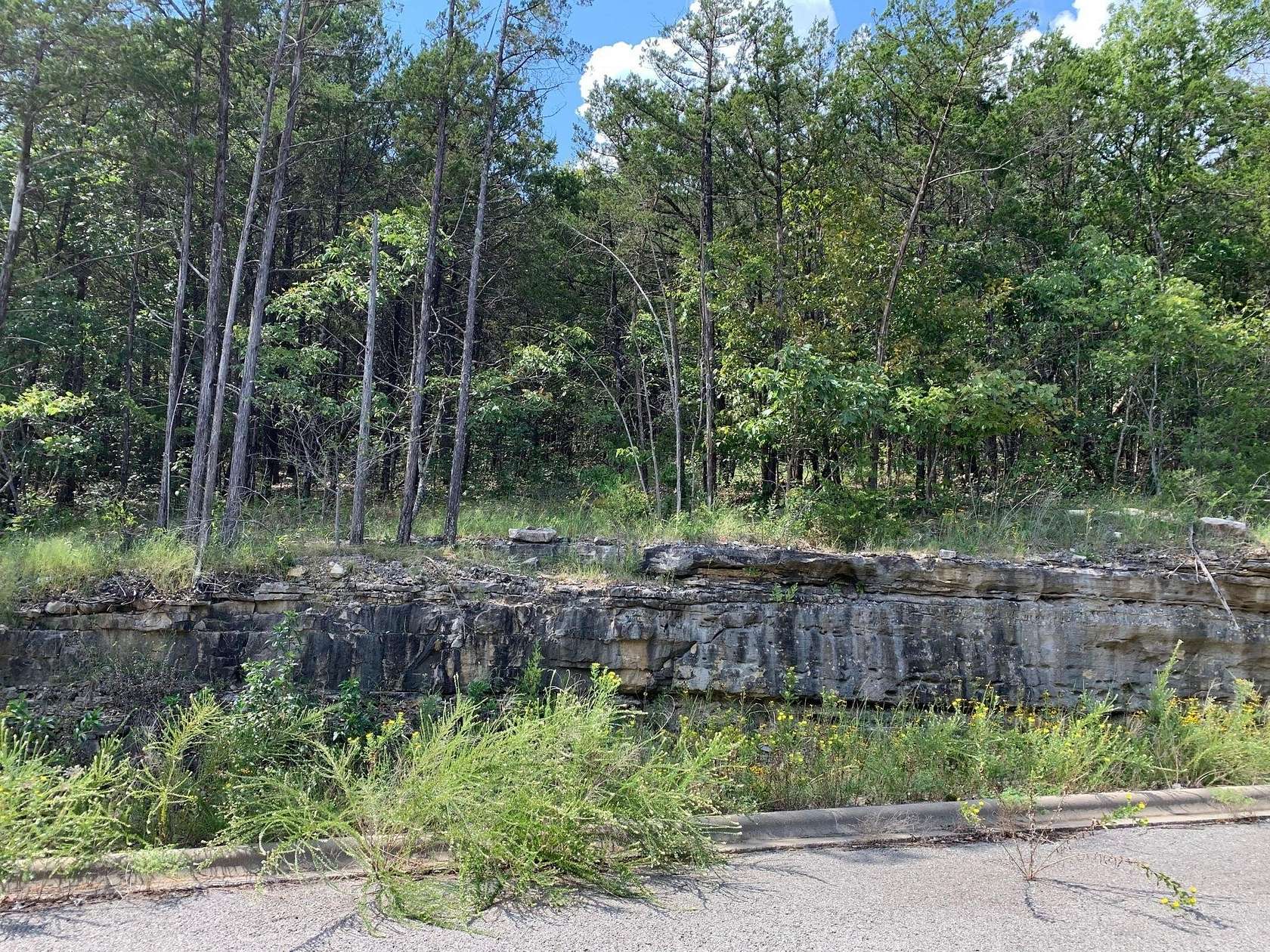 0.22 Acres of Residential Land for Sale in Hollister, Missouri