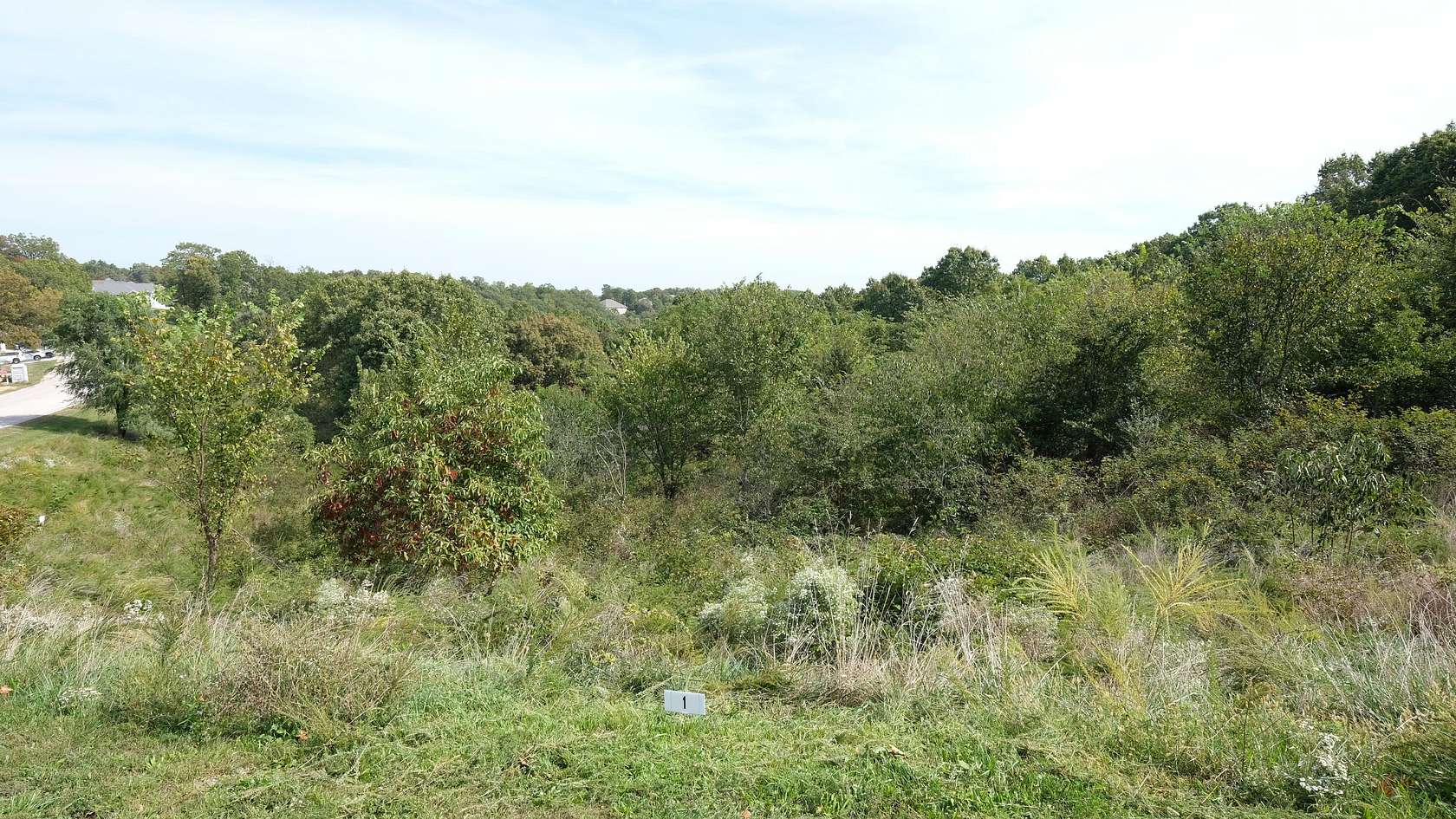 1.59 Acres of Residential Land for Sale in Branson, Missouri