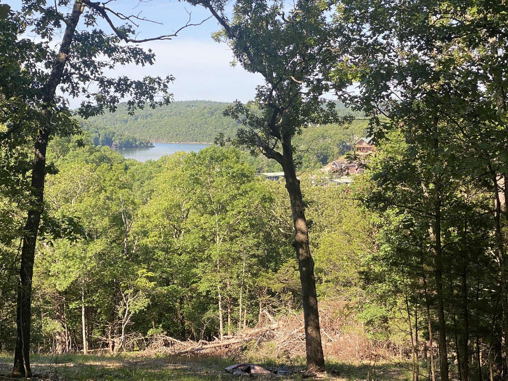 2 Acres of Land for Sale in Theodosia, Missouri