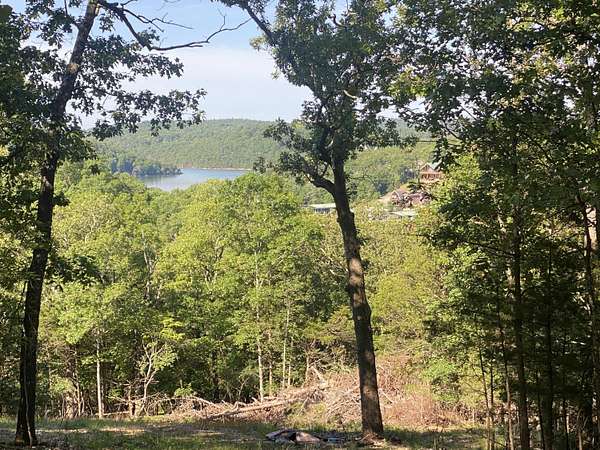 2 Acres of Land for Sale in Theodosia, Missouri