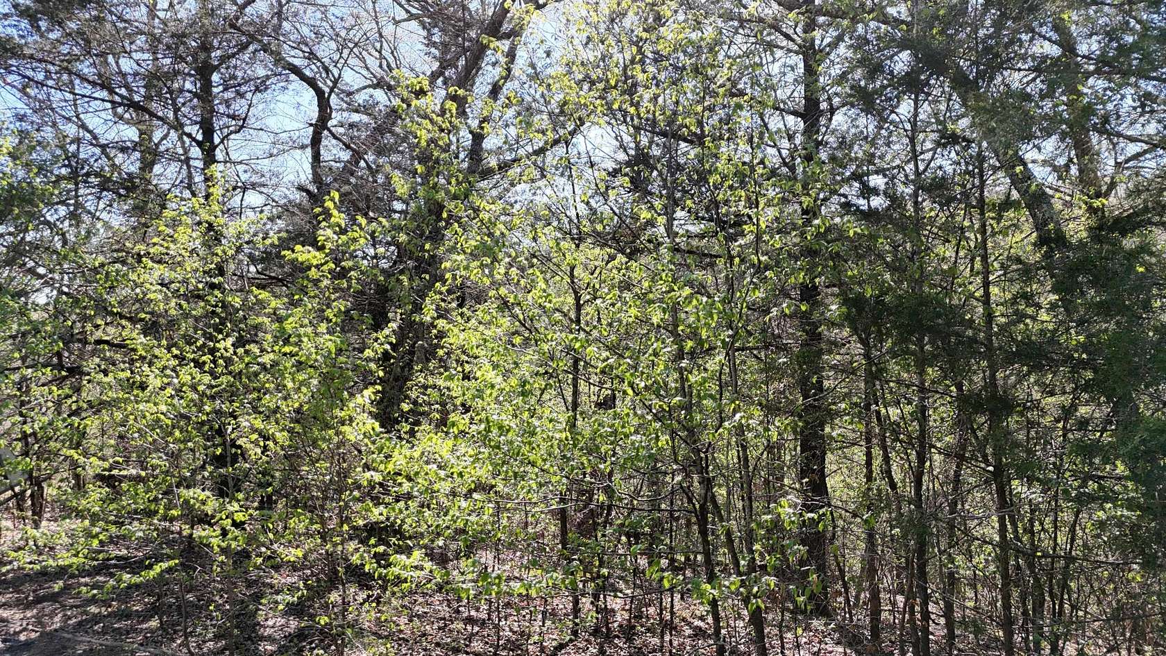0.06 Acres of Land for Sale in Shell Knob, Missouri