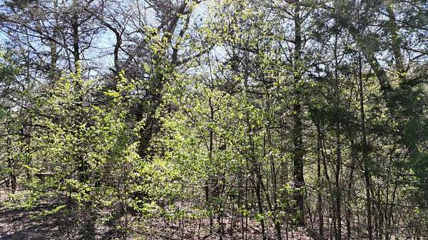 0.06 Acres of Land for Sale in Shell Knob, Missouri