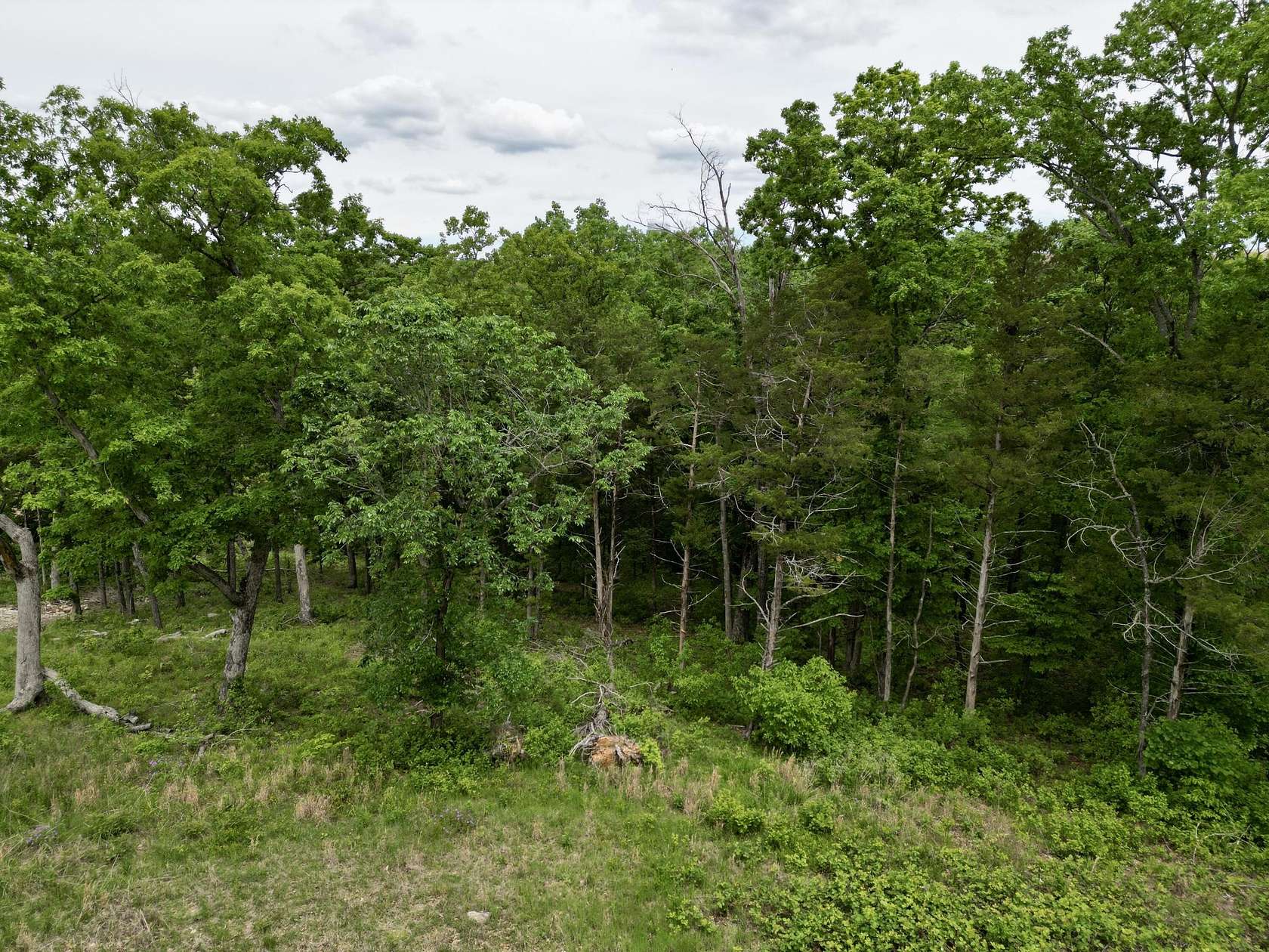 0.87 Acres of Residential Land for Sale in Branson, Missouri