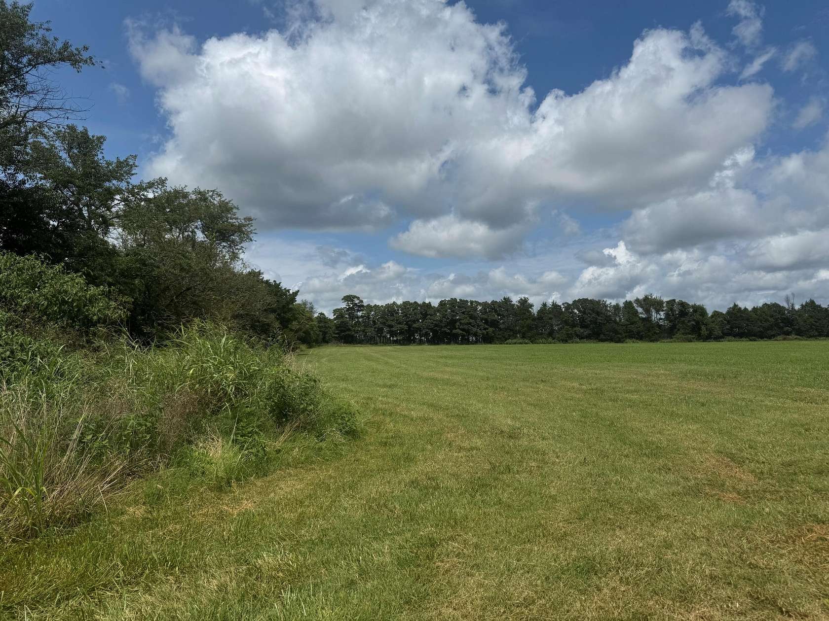 30 Acres of Land for Sale in Seligman, Missouri