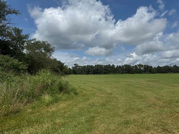 30 Acres of Land for Sale in Seligman, Missouri