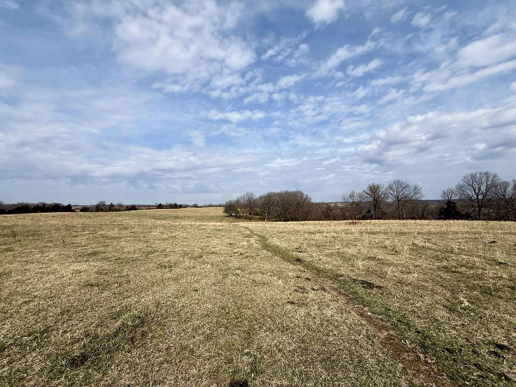 88.1 Acres of Land for Sale in Cabool, Missouri
