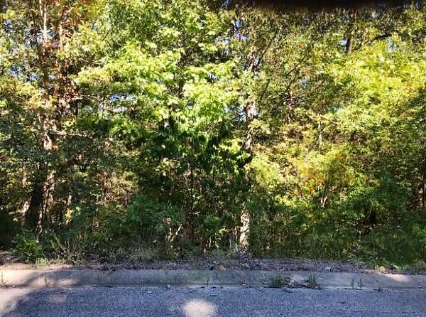 0.24 Acres of Land for Sale in Hollister, Missouri