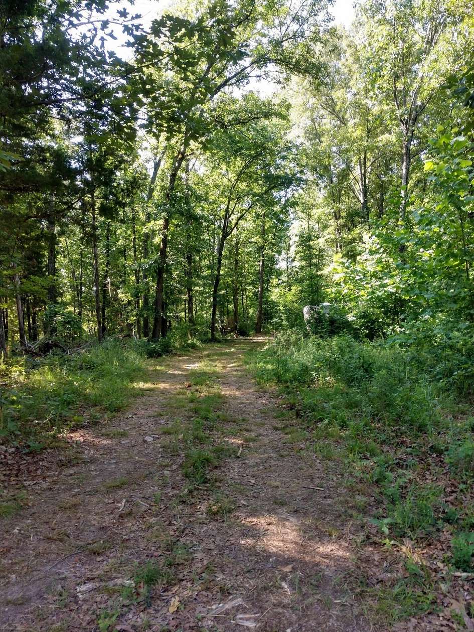 33.3 Acres of Recreational Land for Sale in Willow Springs, Missouri