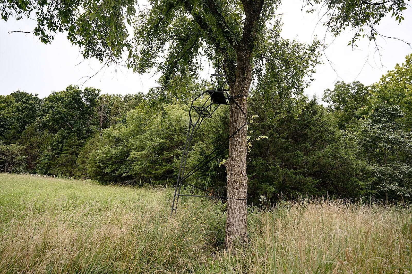 130 Acres of Land for Sale in Cross Timbers, Missouri
