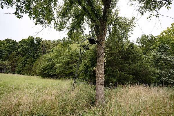 130 Acres of Land for Sale in Cross Timbers, Missouri