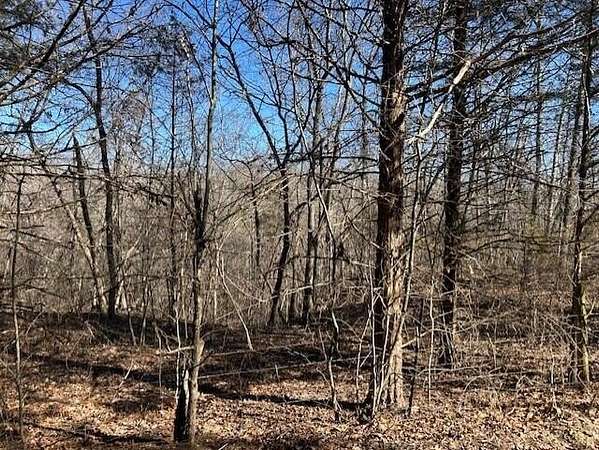 14 Acres of Recreational Land for Sale in Ava, Missouri