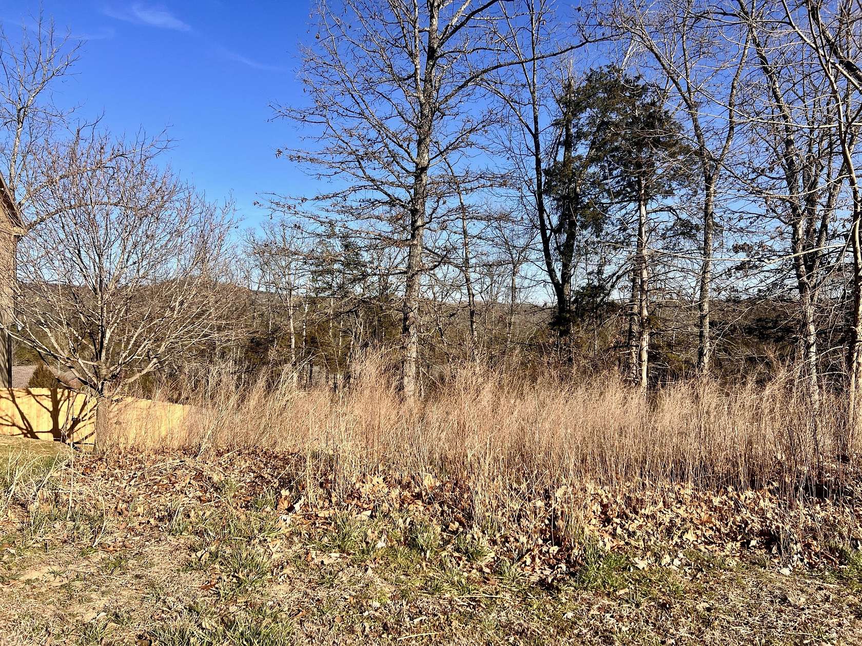 0.19 Acres of Residential Land for Sale in Branson, Missouri