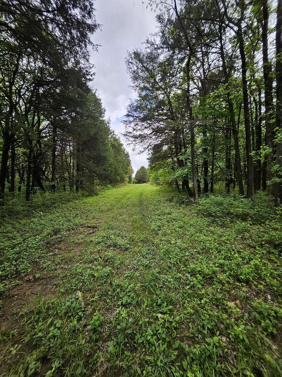 113 Acres of Recreational Land for Sale in Jerico Springs, Missouri