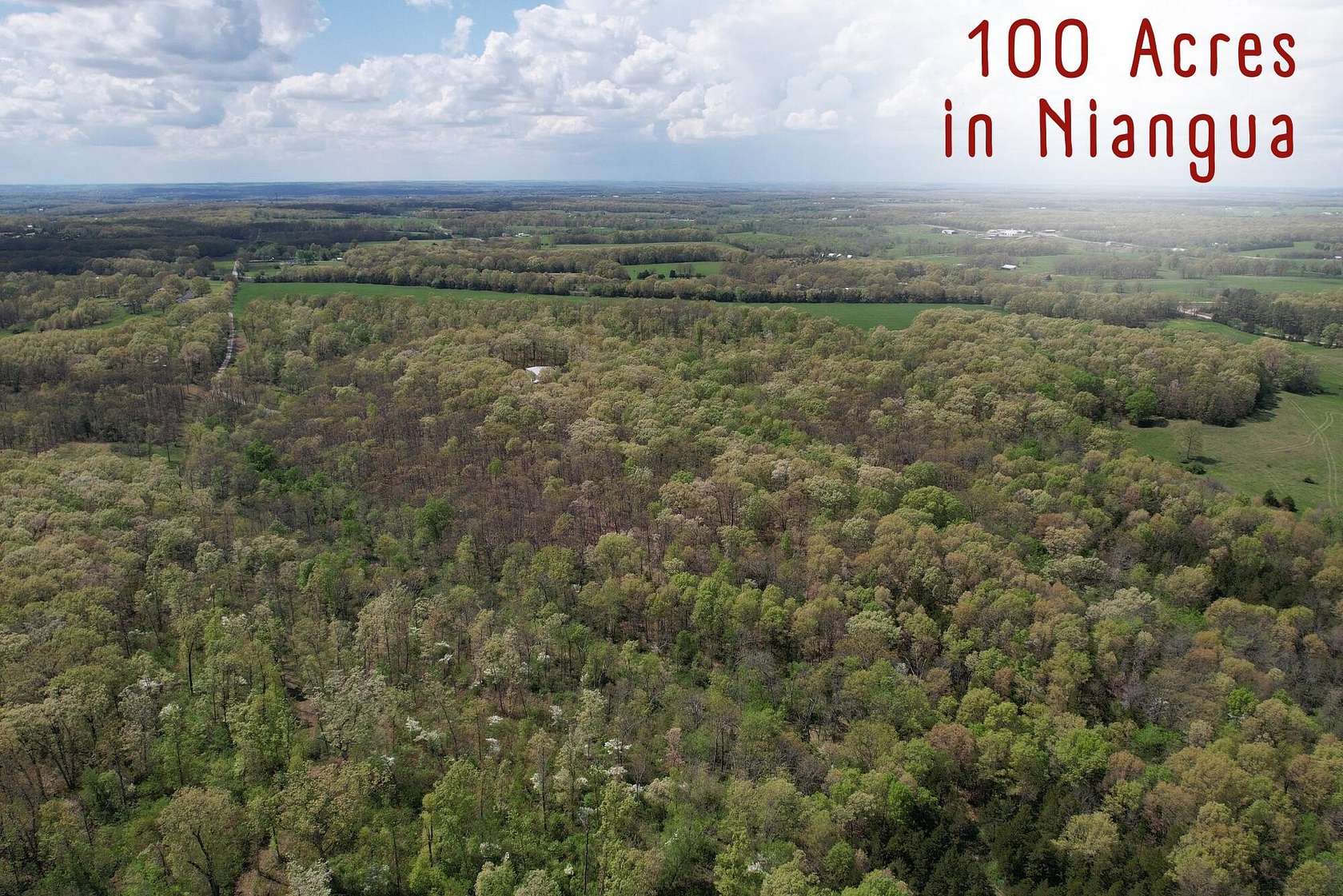 100 Acres of Recreational & Residential Land for Sale in Niangua, Missouri