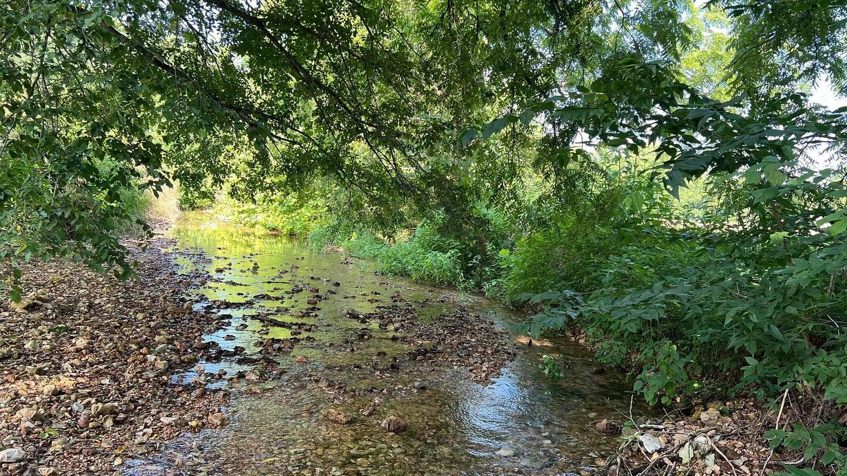56 Acres of Land for Sale in Exeter, Missouri