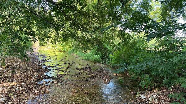 56 Acres of Land for Sale in Exeter, Missouri