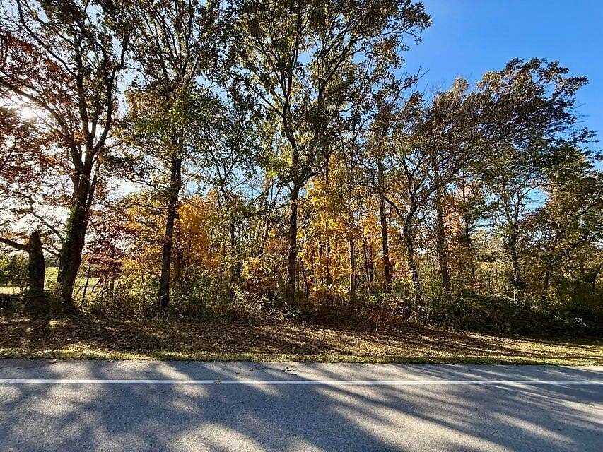 41 Acres of Recreational & Residential Land for Sale in Houston, Missouri